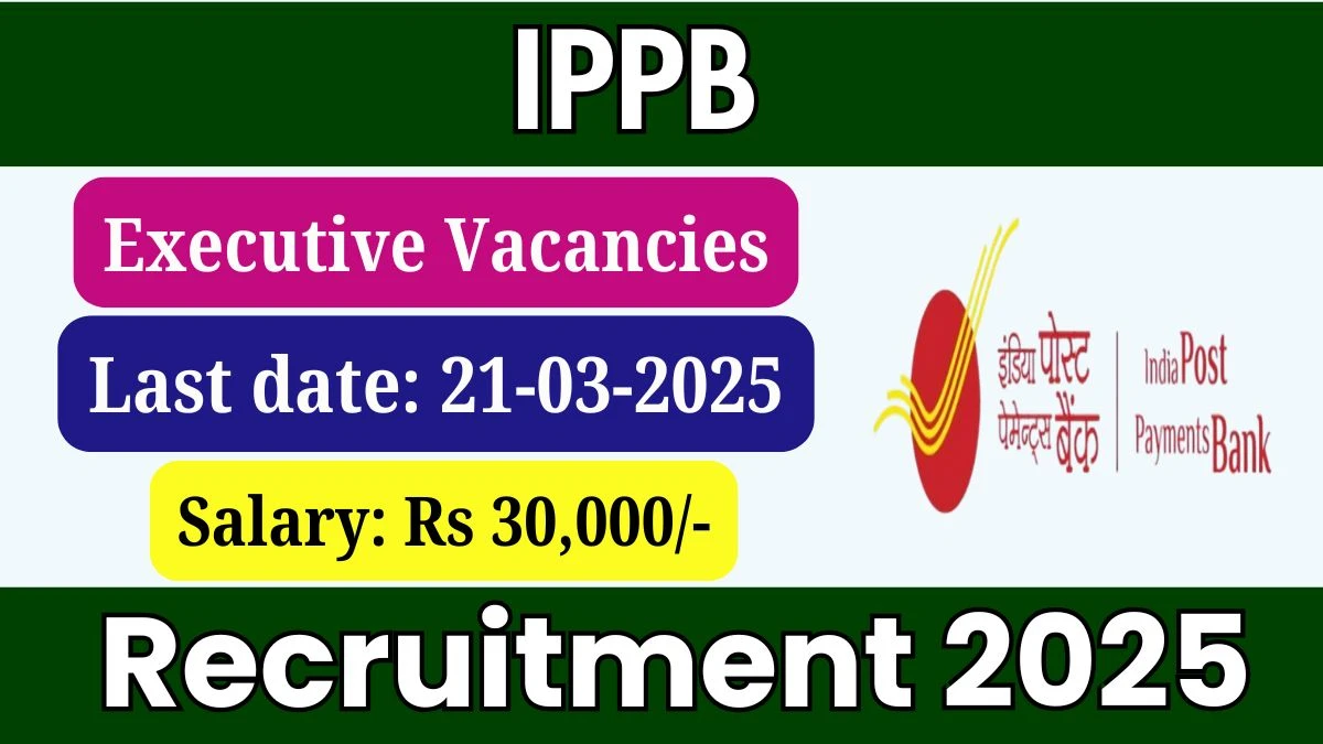 India Post Payments Bank Executive Recruitment 2025: इंडिया पोस्ट पेमेंट्स बैंक में 348 एग्जीक्यूटिव जॉब्स, सैलरी ₹30,000 तक, आज ही करें आवेदन